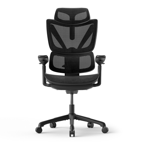 ACGAM CG-5245M Ergonomikus Gamer Szék, Állítható Deréktámasz, Lábtartó és 136 kg Terhelhetőség 2